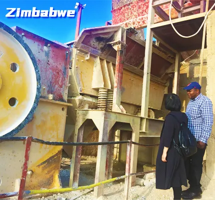 index_Case_Zimbabwe.webp