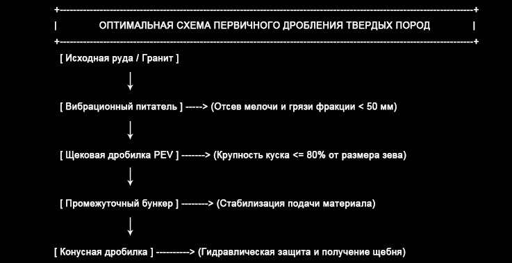 3.webp